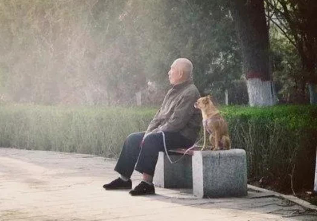 江苏徐州，一老汉照顾无儿无女的哥哥长达26年，不料，哥哥却突然因车祸去世获赔98