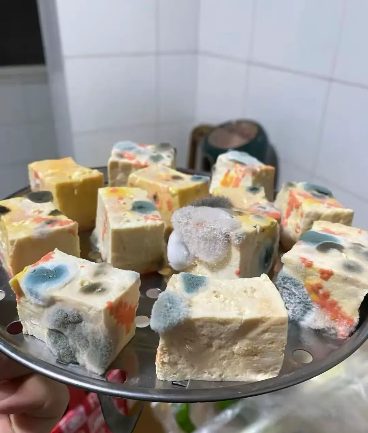 老婆做的霉豆腐 这是成功了吗