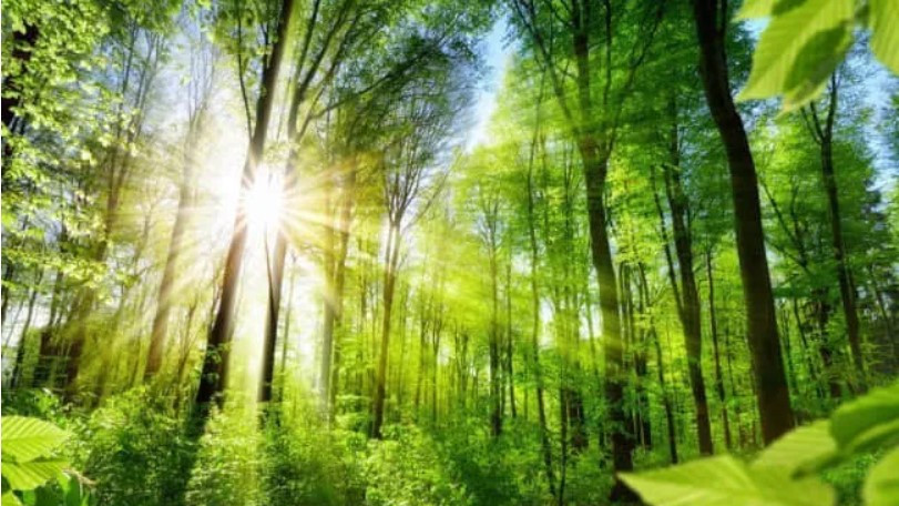 不花钱！尝试一下中年人的养生：定期户外运动，远离神经衰弱