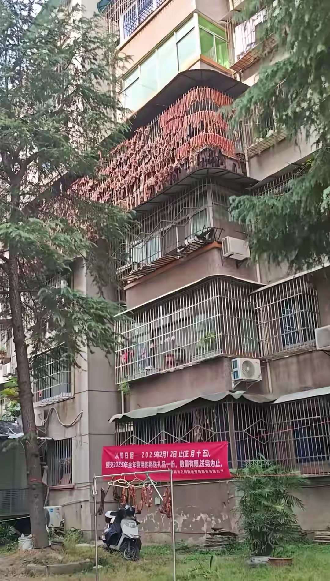 这么早就开始囤货了？