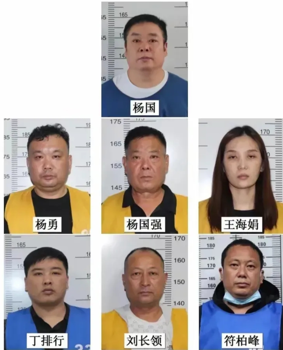 近日，河南兰考杨国犯罪集团再次被河南警方公开收集犯罪细节。
看了一下杨国犯罪集团