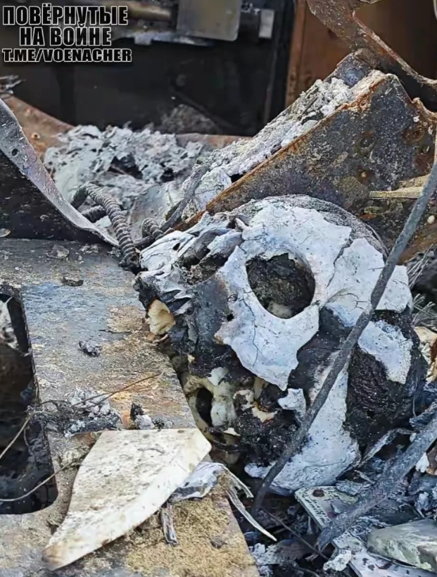 据说，图片中是一名在库尔斯克地区被俄军打死的乌军士兵的残骸。他藏在坚硬的美制布拉