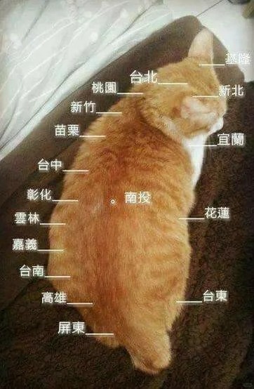 台湾朋友请进！🙏
目前很纠结去台北还是去台中？去过一次台北两次高雄和一次台南，