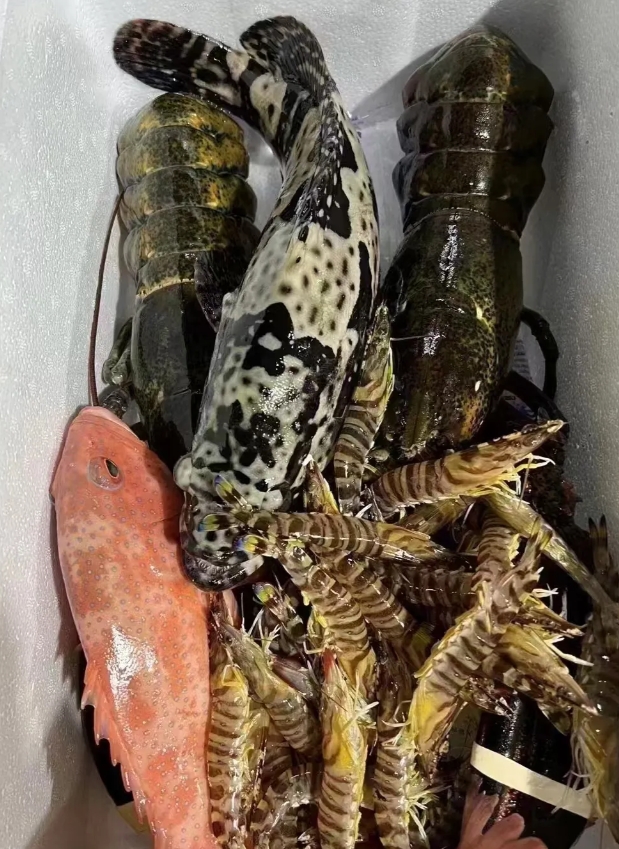 大家看一下这一箱海鲜大概值多少钱？老公的姐姐在沿海。做的就是水产生意。我让给我们