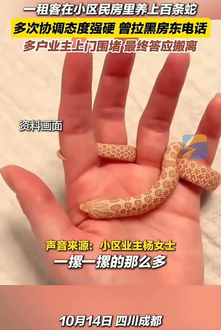 太吓人！！