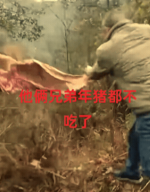 养了一只黄膘猪，宰了才知道，兄弟邻居没人吃，只好扔了。 

有人说，很多屠户都忌