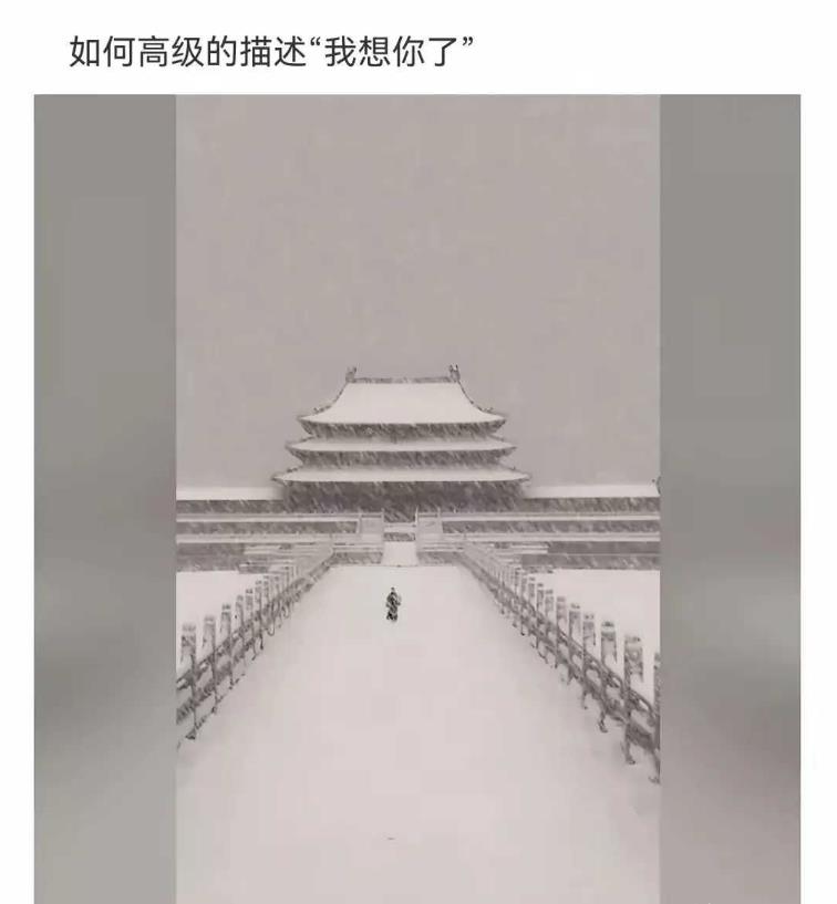如何很高级地描述“我想你了”
