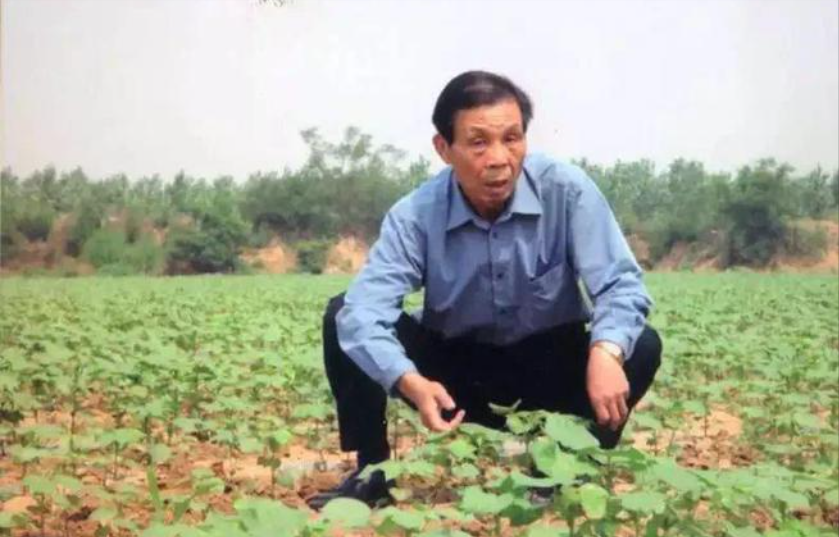 1991年，寿光县委书记王伯祥调任，前往潍坊担任副市长，然而他在临走前，竟将院子