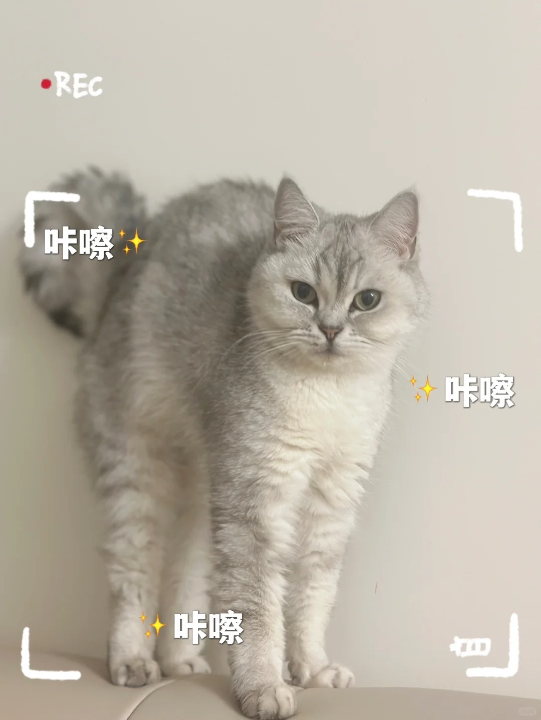 我也不想啊，可是它对我wink哎～