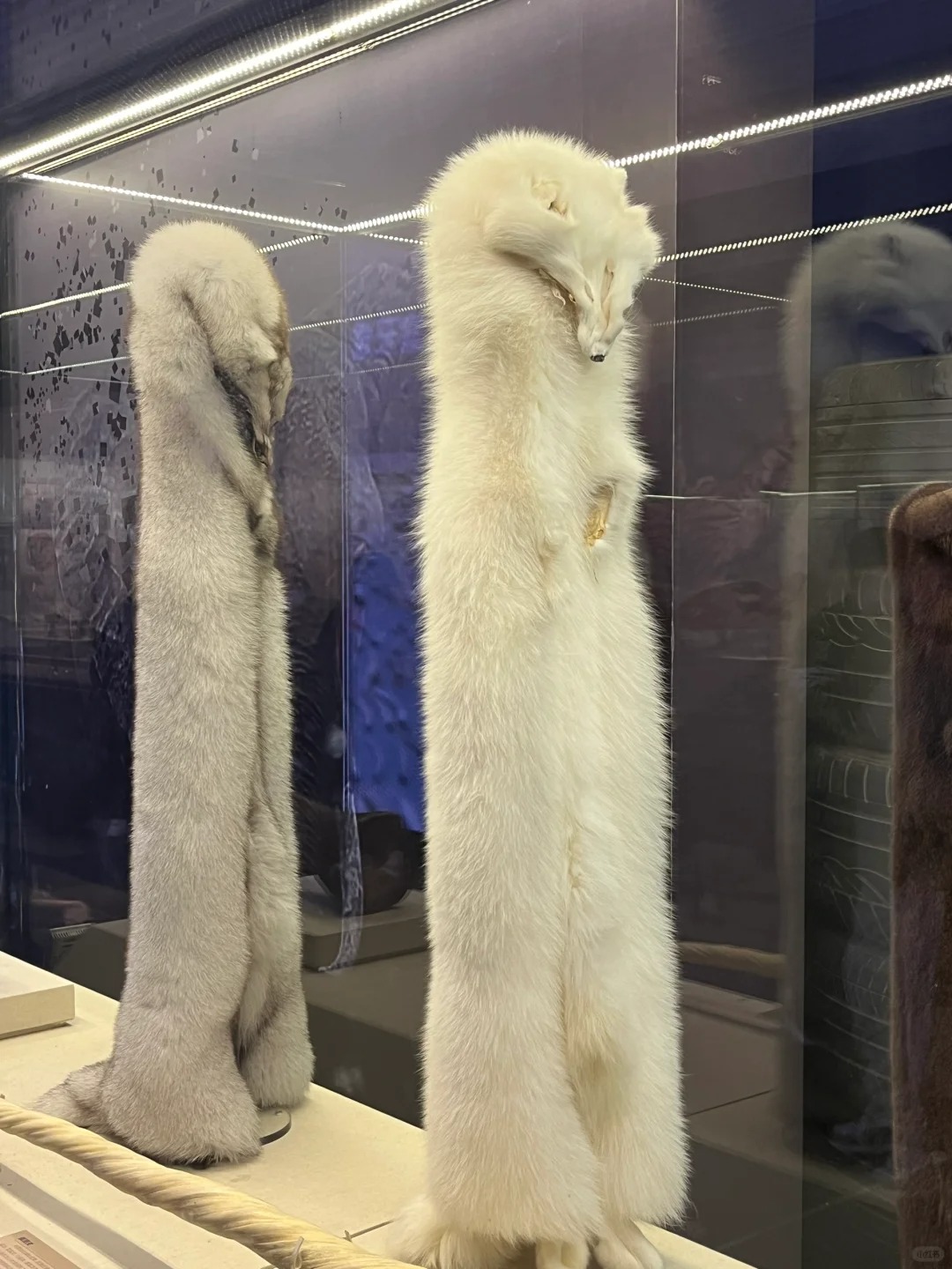 在北京，震惊我一整年…
#你要去观世界才会有世界观 就在建国门附近，小众博物馆，