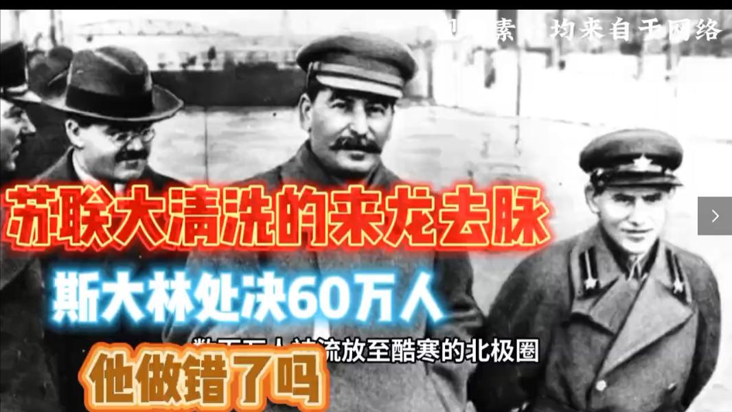 苏联大清洗的来龙去脉，斯大林处决60万人，他做错了吗？#生活影像创作计划 #美好生活进行时