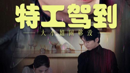 短剧在线观看《特工驾到大小姐闹够没，特工驾到大小姐别闹了》完整版全集（40集）韩江宇