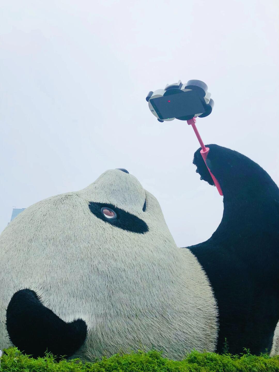 刚从成都回来！
🐼这段时间基本都会下小雨，出门带伞，雨衣，鞋套特别方便。
🐼