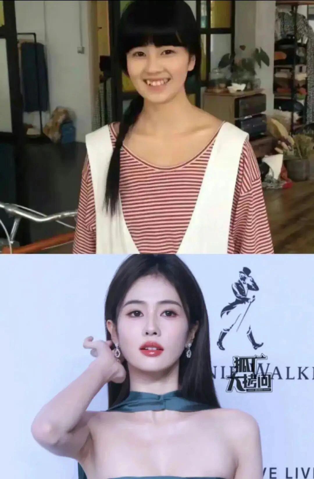 白鹿经历了什么