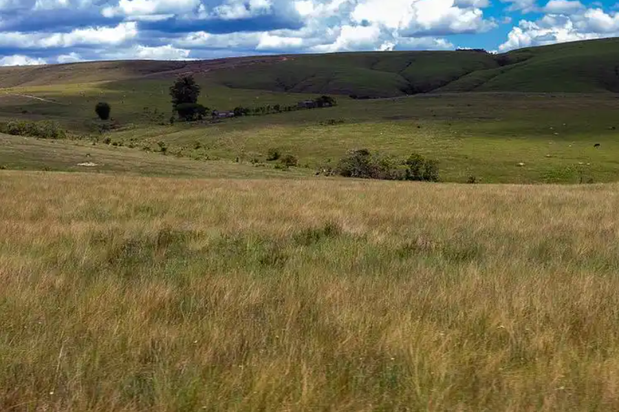 巴西看上中国“星链”。卢拉跟特朗普和马斯克不对付，为了防止美国人卡脖子，巴西政府