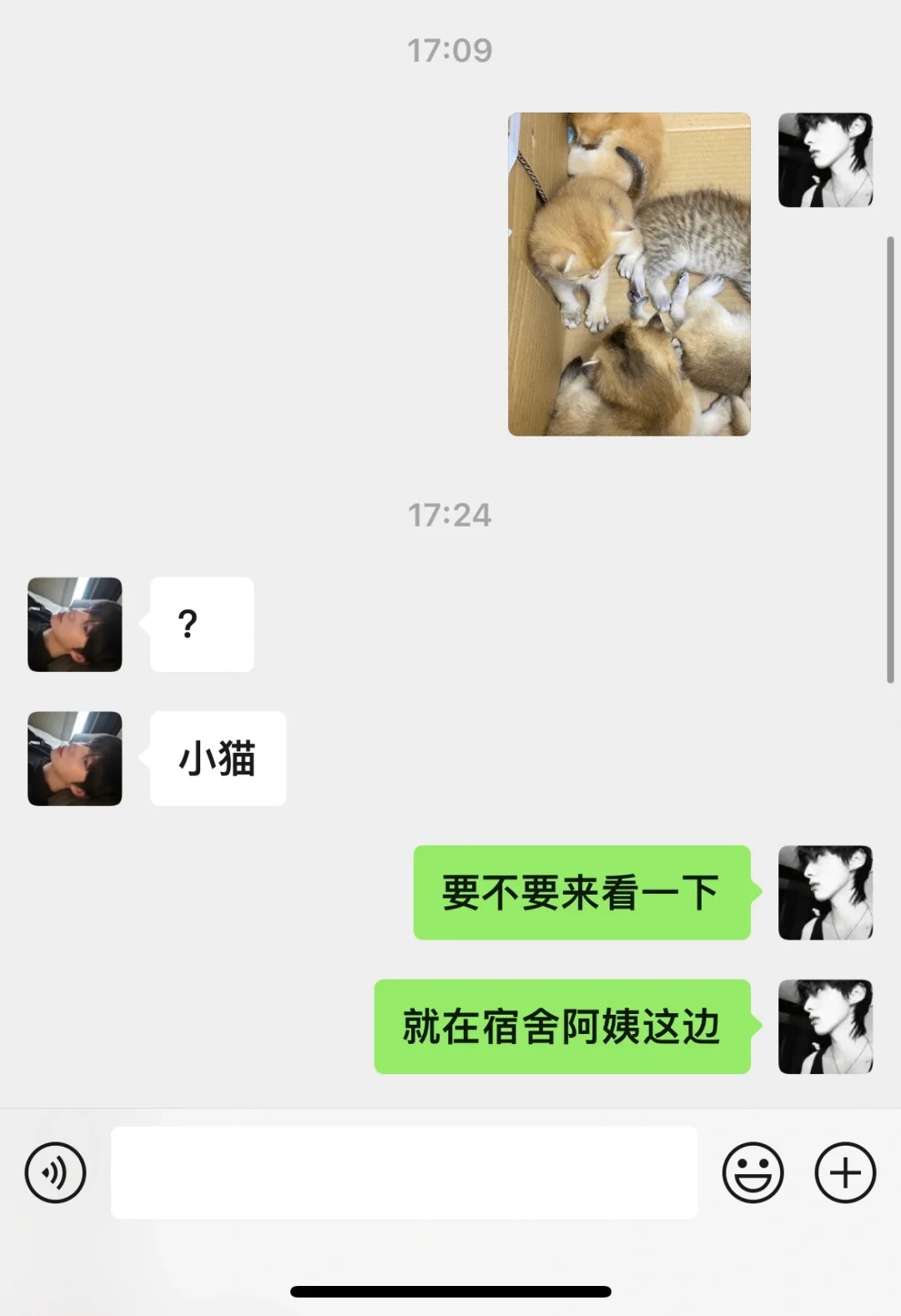 crush好像不是很讨厌我
已经两天没看到他了 今天试着用小猫把他约出来 他真的
