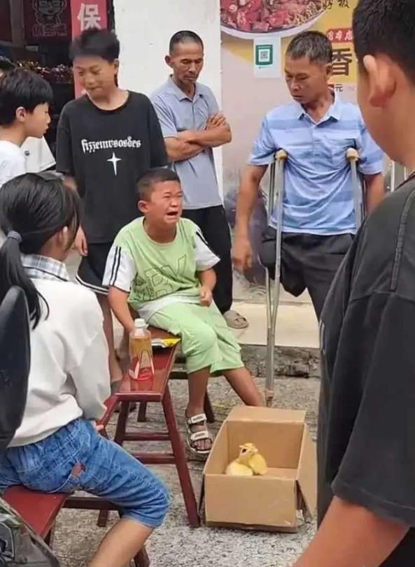 小马云一家人还指望着他赚钱呢，咋还给整哭了呢！