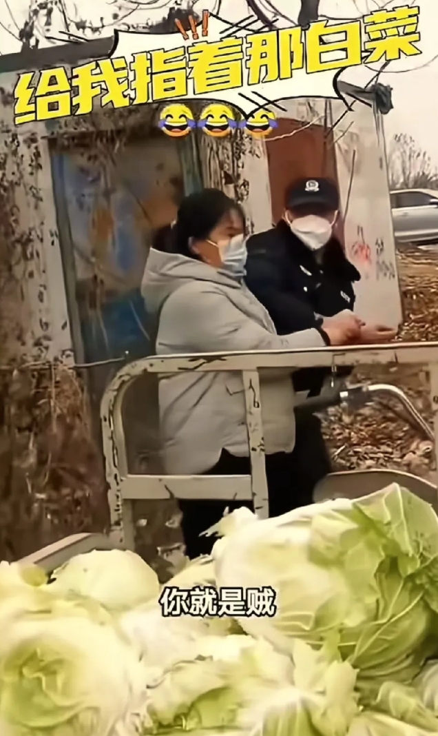 图中的大姐偷了村里人一车白菜，
被人抓了个正着，于是报了警，
叔叔来了后，这个偷
