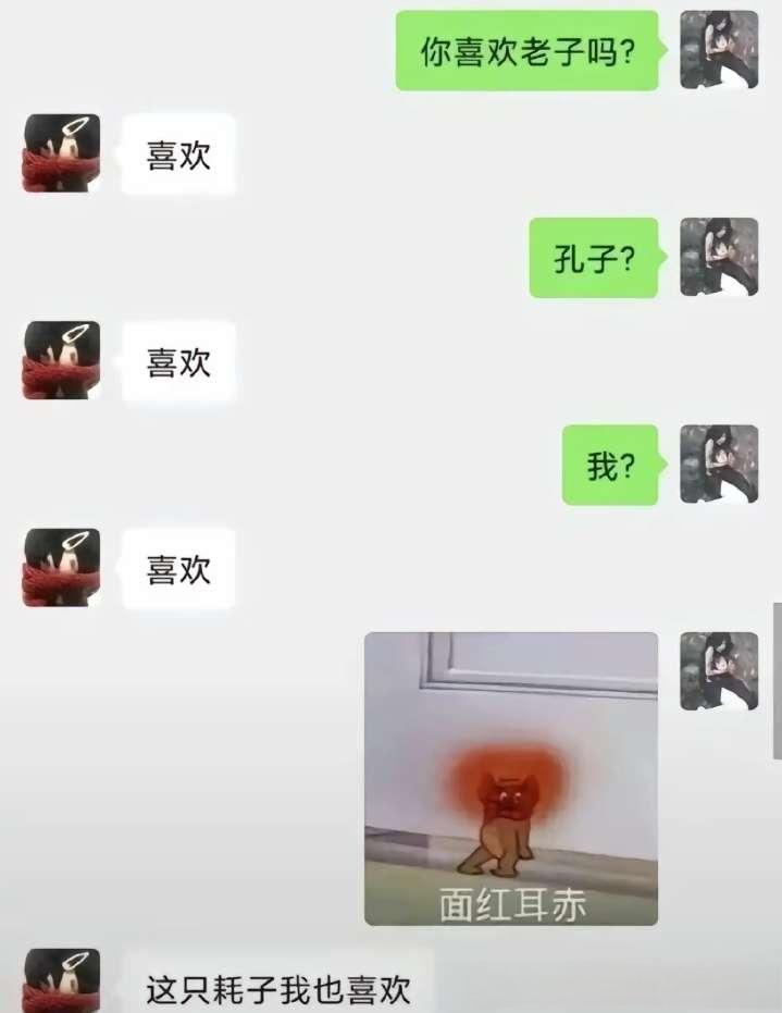 这只耗子我也喜欢