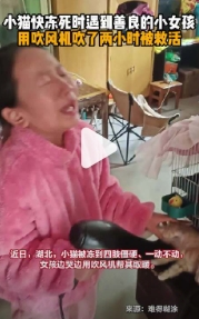 女孩用吹风机吹两小时救活受冻小猫