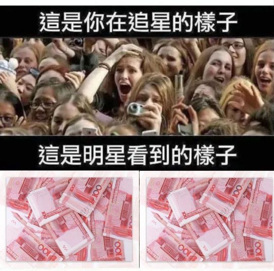 這是你在追星的檬子
