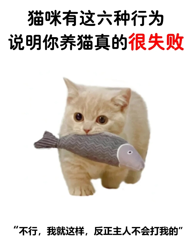 猫咪的这六种行为，说明你养猫真的很失败！