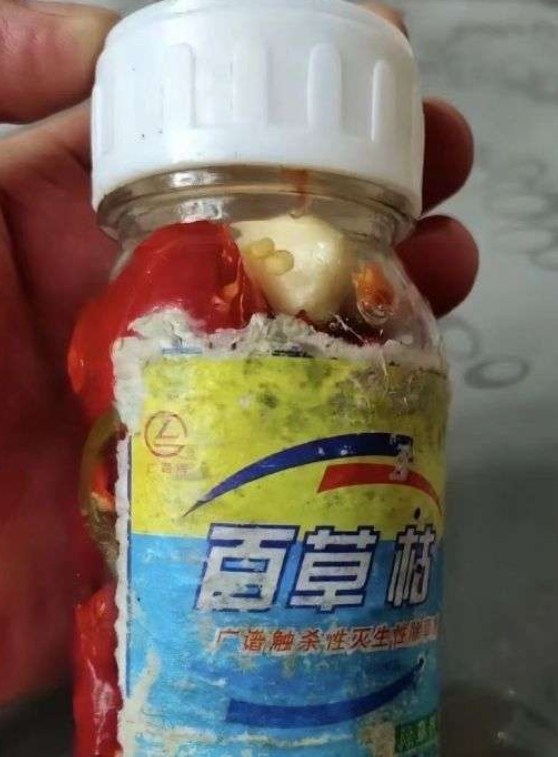 身为一个重庆我就爱泡点辣椒下稀饭