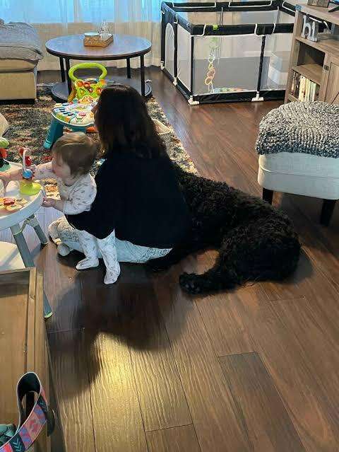 你有没有看错呀