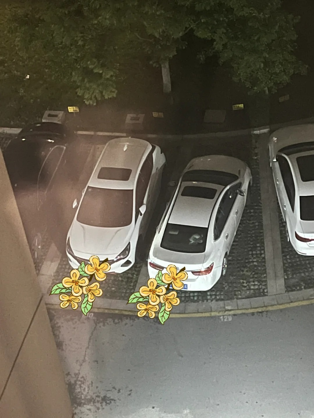 邻居每天都这样停车 让我很无语
左边白车是我的 右边白车是邻居的
每天晚上在我后