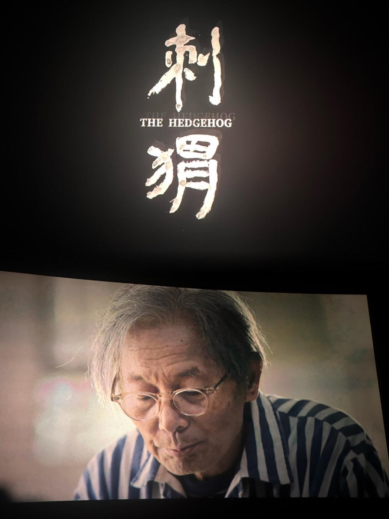 【深度解析】刺猬丨王俊凯巅峰之作