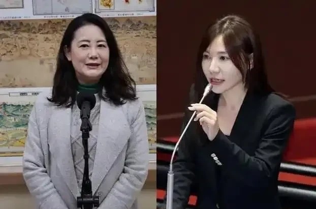 台湾两绿委面临罢免倒计时                            