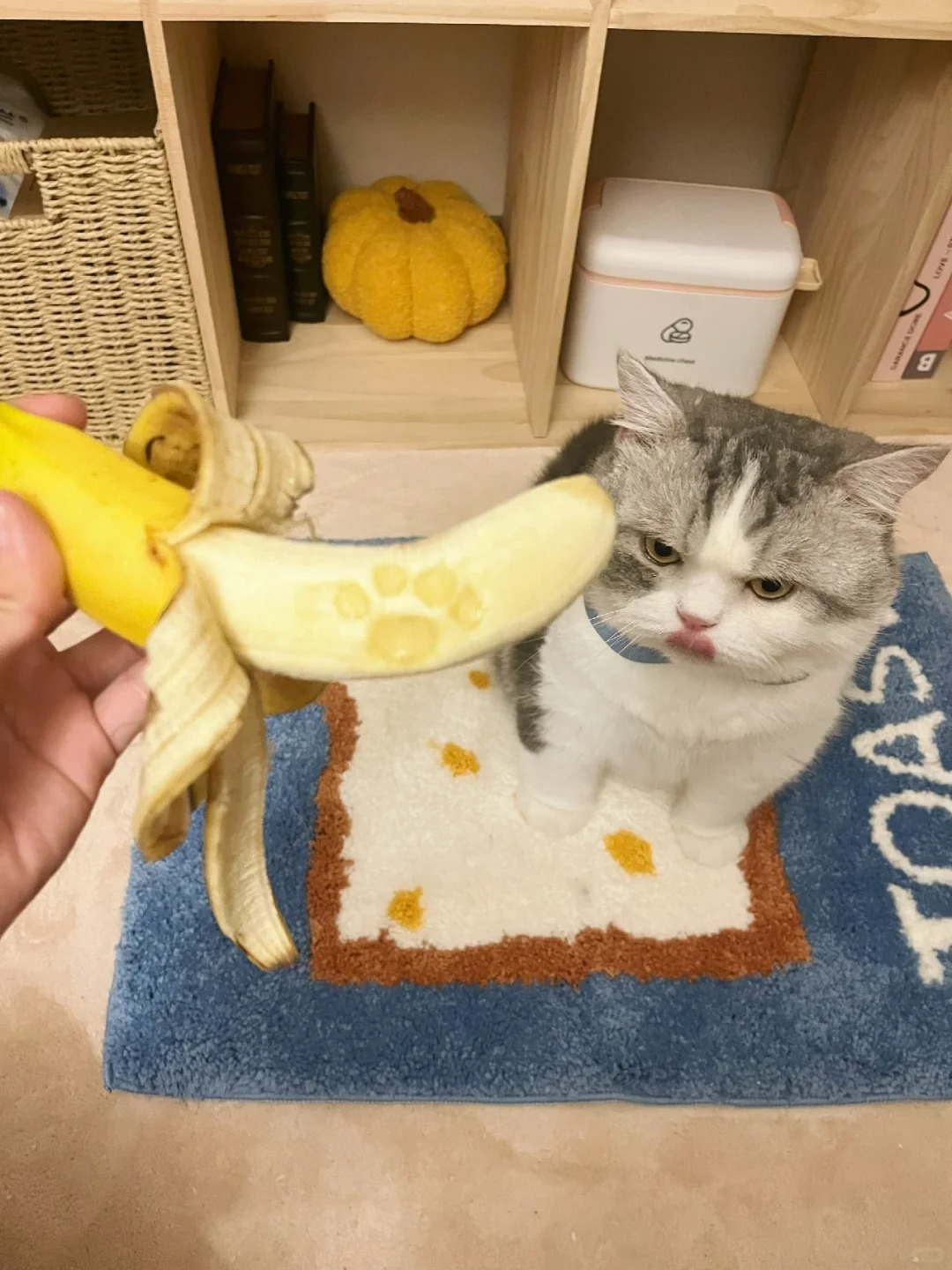 是不是你臭脚压香蕉上了！
难怪感觉今天的脚是香蕉味不是螺蛳粉味
它：就是我干的 