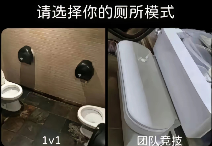请选择你的厕所模式