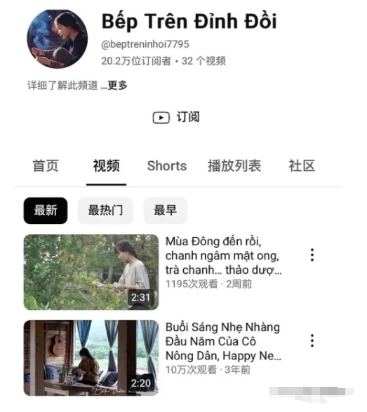 李子柒回归，最搞笑的应该当属越南李子柒也回归了。

越南人你有这模仿执行力你干点