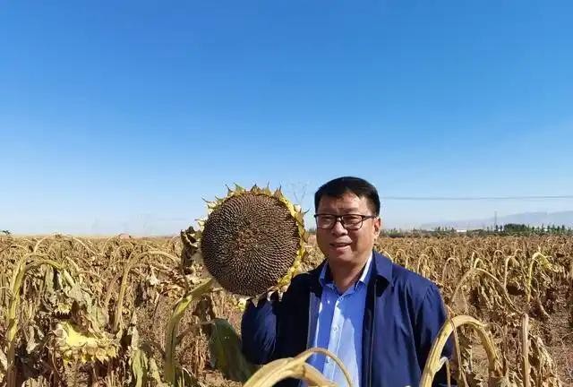 2009年，重庆交通大学的易志坚教授，无意中在研究物质力学时发现了土壤的秘密。他