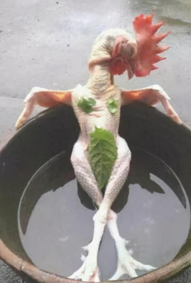 “办了健身卡，结果健身房的镜子成了我唯一的运动器材。”
