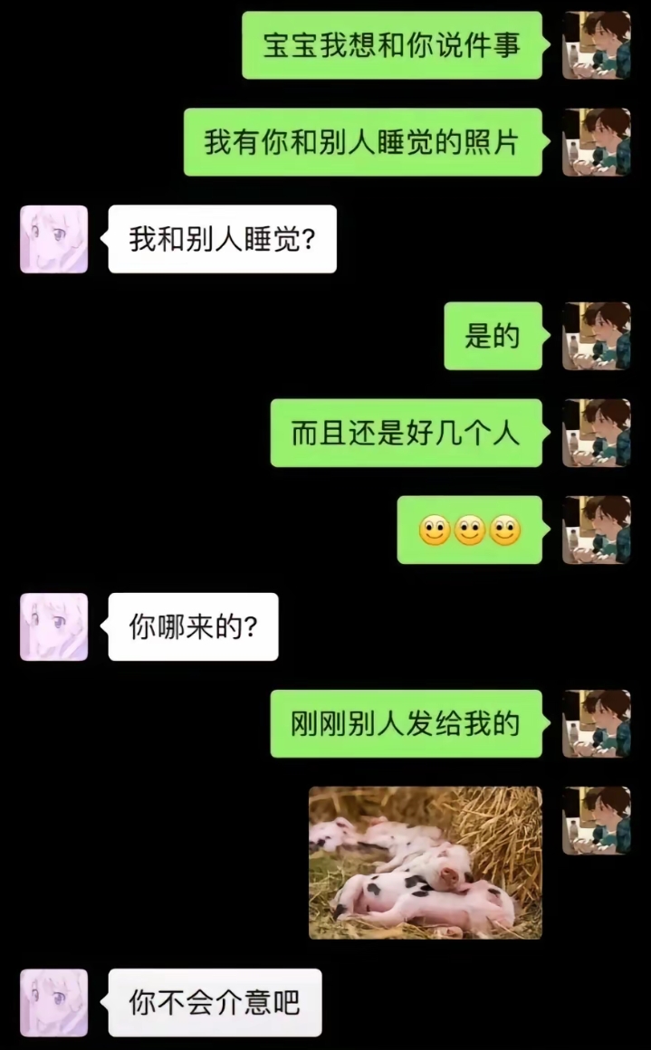 你不会介意的吧