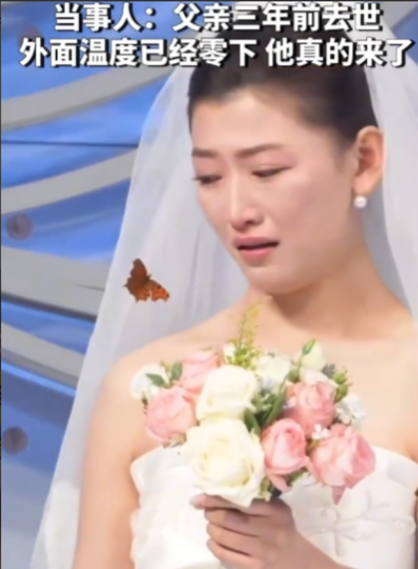 如果科学解释不了就用爱吧！10月20日，辽宁沈阳一婚礼上，新娘看到一只蝴蝶朝她飞