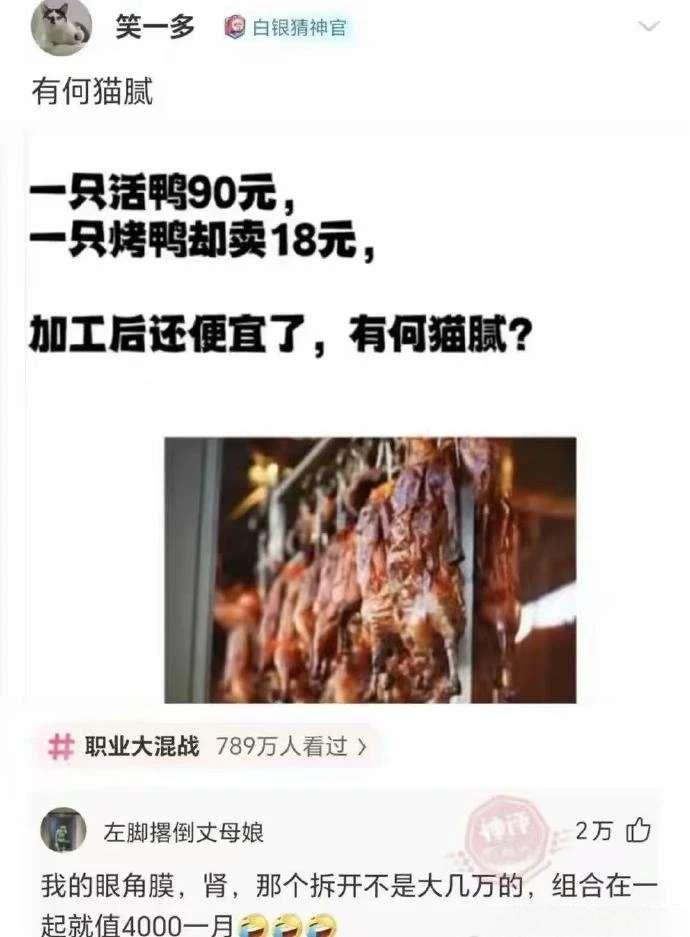 到底有何猫腻？