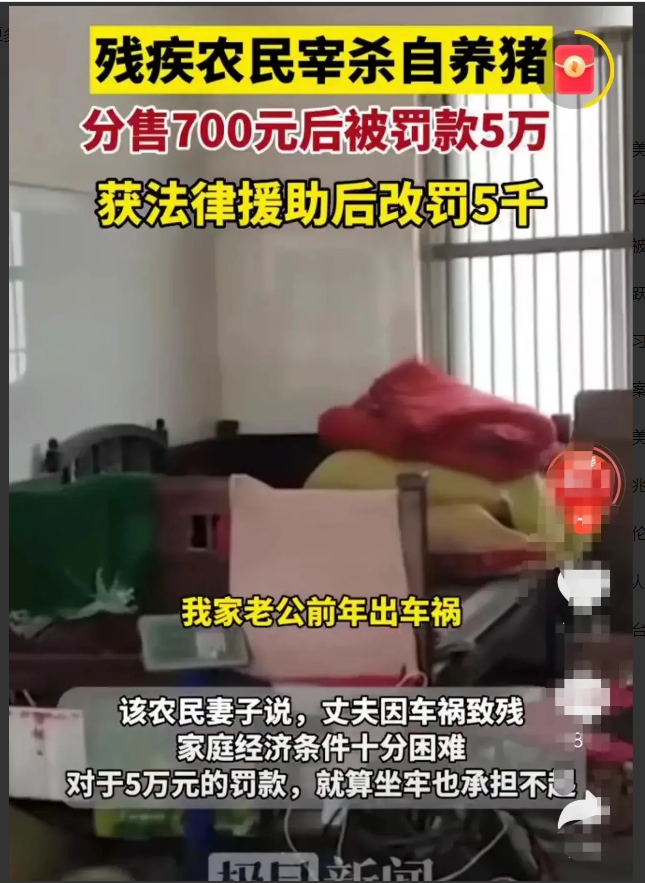 浙江一残疾男子，因家中贫困，没钱买猪肉，便在自家养了一头猪，等猪膘肥体壮时将其宰