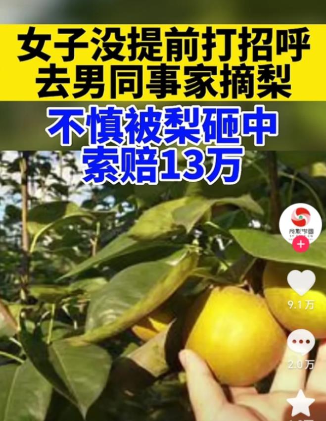 湖南，女子在未告知的情况下，去男同事家摘梨子 。同事不在家，其妻帮忙打梨子。女子