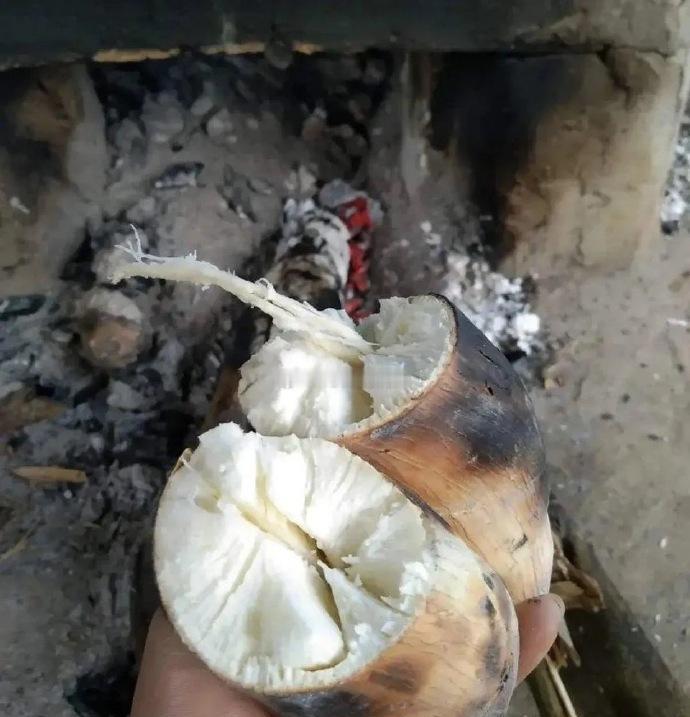 去同事家里做客，居然拿这破玩意招待我，太让人伤心了！