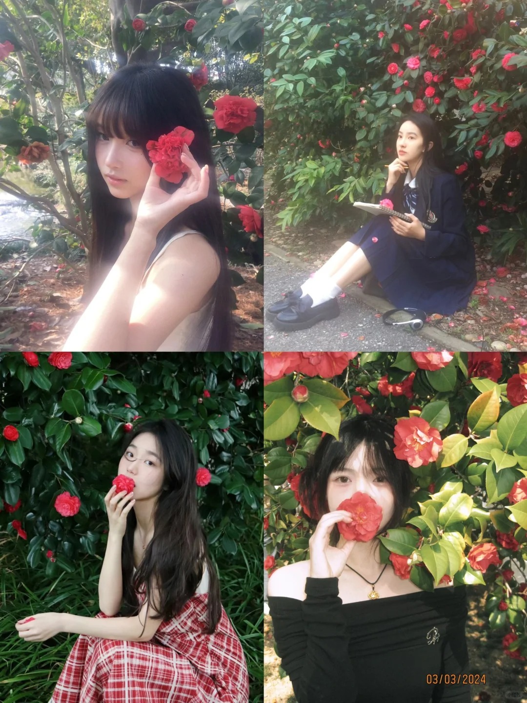 存一些山茶花拍照姿势🌺