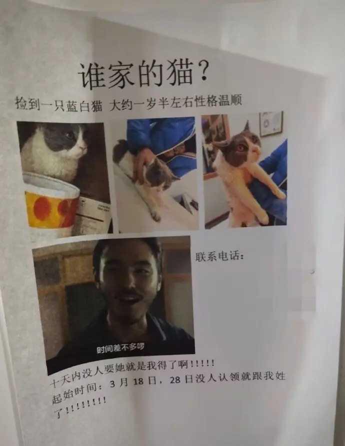 搞笑幽默趣闻：没人要就是我的了哦！哈哈哈哈哈