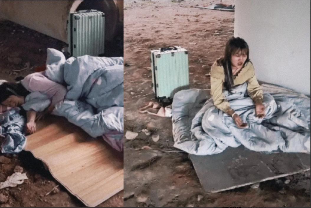 广东东莞，一离职女子睡桥洞，捡废品男子看到想收留她，却遭对方一顿狂怼。

男子表
