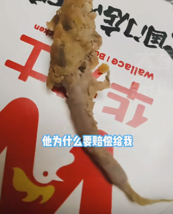 “太恶心了！”西安女子华莱士汉堡中吃出“恐怖尾巴”后续，顾客：没给任何赔偿！