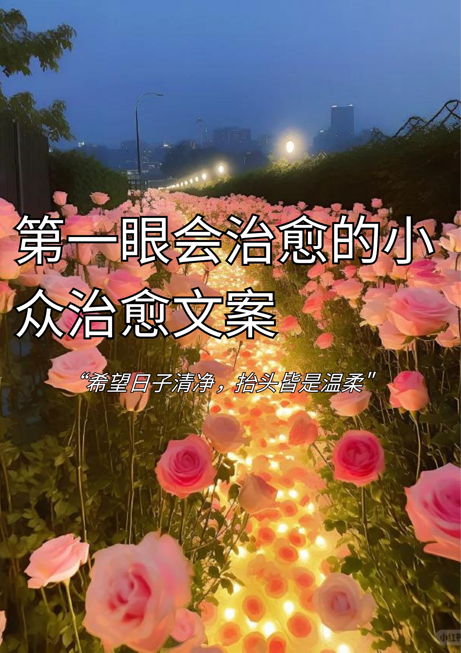 第一眼会治愈的小众治愈文案！