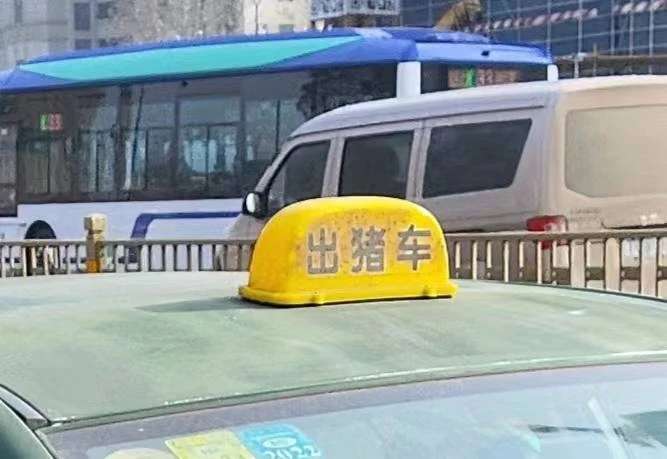 怎么出现了“出猪车”？