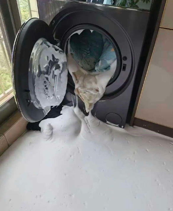 这是个啥情况，洗完衣服后怎么会变成这样呢？