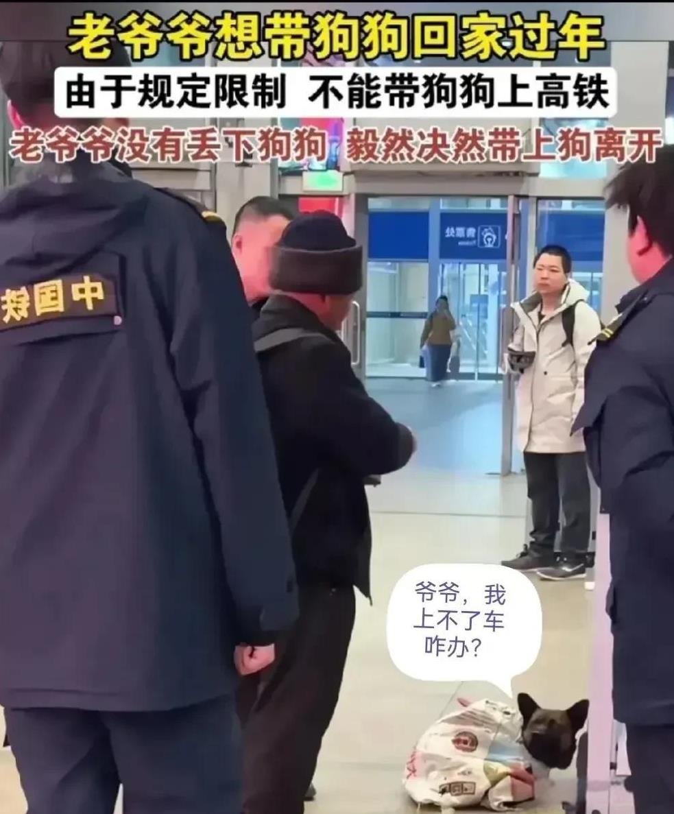 老人带狗坐高铁被拒，在这一刻隔着屏幕都能看到老人的无奈和小狗的胆怯！
有人说既然